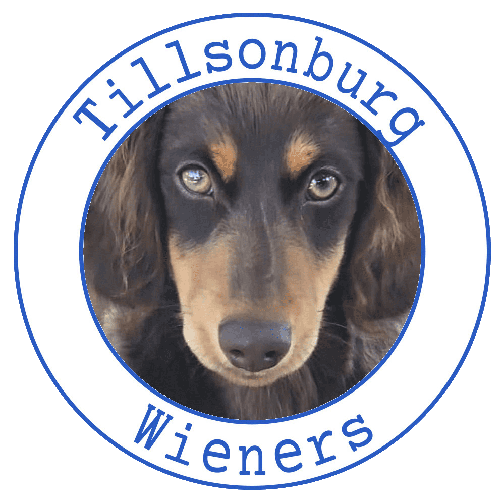 Tillsonburg Wieners